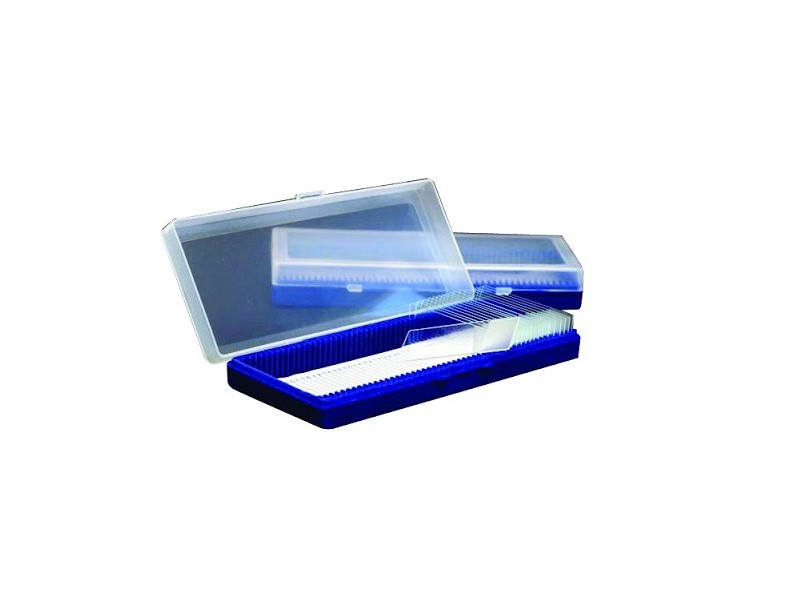 Container pentru lame citologice 25 locuri