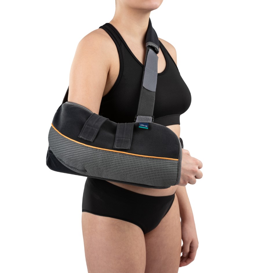 Adductor al membrului superior M